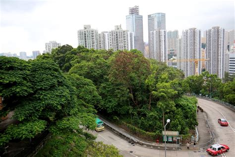 麗祖路公屋幾時派